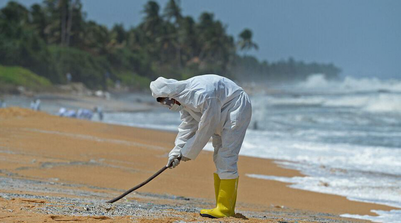 Hundreds of dead fish and turtles on the dream beaches in sri lankan news