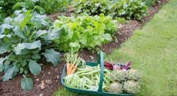 LNP – EDB organizes stakeholder forum on organic agricultural exports