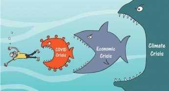 LNP – Cartoon of the day