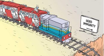 LNP – Cartoon of the day