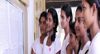 LNP – Island’s best results of 2023 (2024) O/L exam