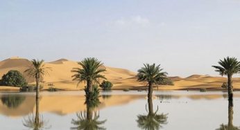 LNP – Sahara Desert flooded for the first time in decades