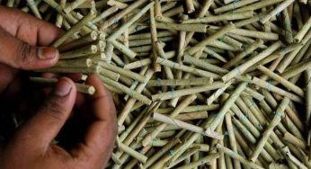 LNP – The Onslaught of the Beedi Industry and its Impact on Sri Lanka’s Economy
