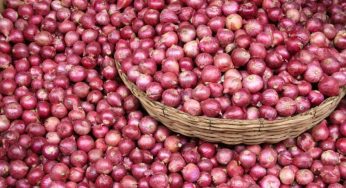 LNP – Special Commodity Levy on imported big onions reduced
