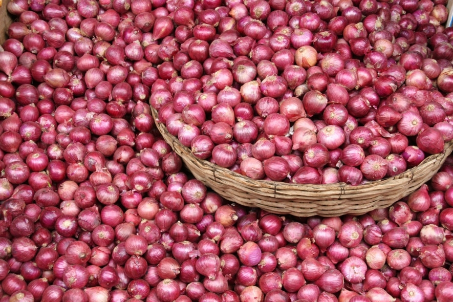 big onions sri lanka