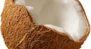 LNP – Half a coconut selling at Rs. 120