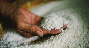 LNP – Mill owners warn of looming rice shortage