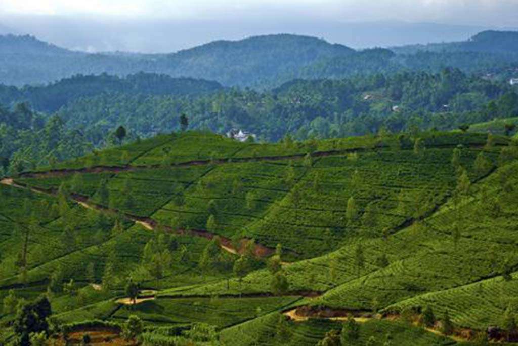 LNP – Government to lease underutilized state-owned land to SMEs for productive economic activities