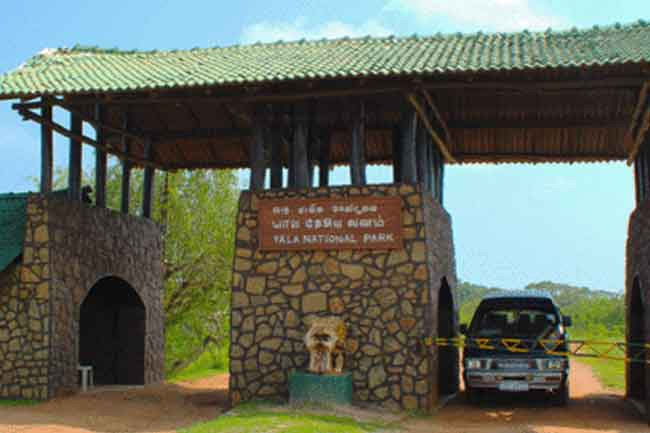 YALA NATIONAL PARK in sri lankan news
