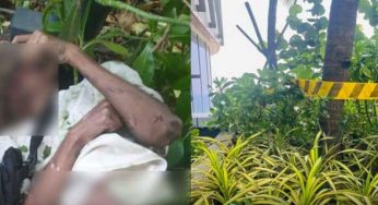 LNP – Youth dies after falling from 31st floor of luxury hotel in Colombo