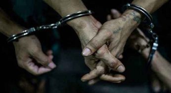 LNP – Five Jewish Rabbis performing Kosher chicken processing on visit visa arrested by Immigration Dept