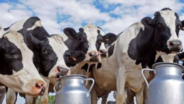 image b31b99c58d 1 in sri lankan news